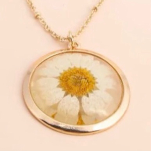 Darling Daisy Genuine Pressed Preserved Dried Gold Flower Floral Summer Necklace - Picture 4 of 16